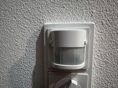 IMG_0344.jpeg
