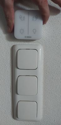 20260421_154644.jpg