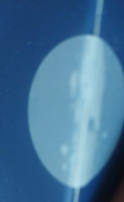 20260429_143349.jpg