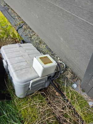 Tür-/Fensterkontakt in die Box und 230~ Stecker darin in Steckdose - fertig
