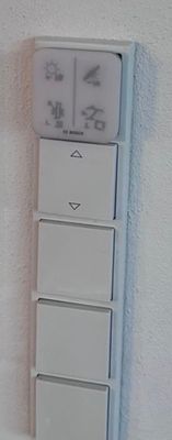 IMG_1880.jpeg