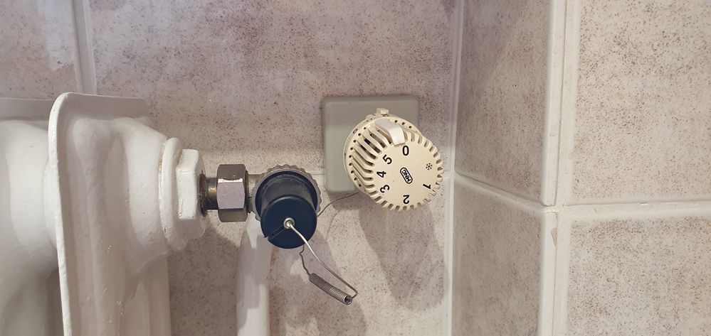 Thermostat mit Fernverstellung_1.jpg