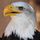 Lucky-Eagle